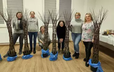 Wyplatanie drzewek z wikliny Czerteż 2025 (21)
