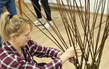 Wyplatanie drzewek z wikliny Czerteż 2025 (7)