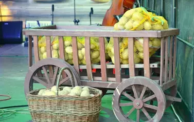 ŚWIĘTO ZIEMNIAKA - FALEJ&Oacute;WKA 2025r. (64)