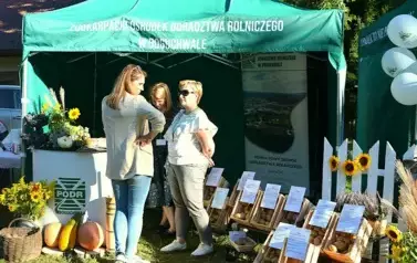 ŚWIĘTO ZIEMNIAKA - FALEJ&Oacute;WKA 2025r (34)