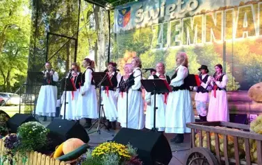 ŚWIĘTO ZIEMNIAKA - FALEJ&Oacute;WKA 2025r (29)