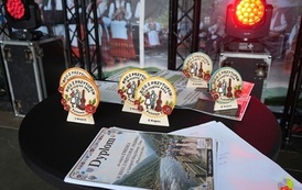 BIEG Z PRZYTUPEM - FOLKOWA 5 - Mrzygł&oacute;d 2026 (43)