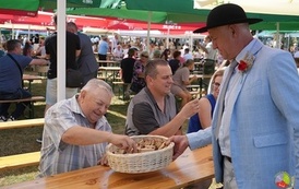 Dożynki Powiatowo-Gminne-Czerteż 2026 (117)