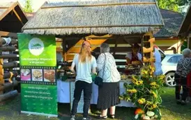 ŚWIĘTO ZIEMNIAKA - FALEJ&Oacute;WKA 2025r (40)