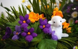 batch_XXX WYSTAWA WIELKANOCNA 2026r (190)