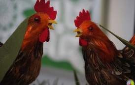 batch_XXX WYSTAWA WIELKANOCNA 2026r (69)