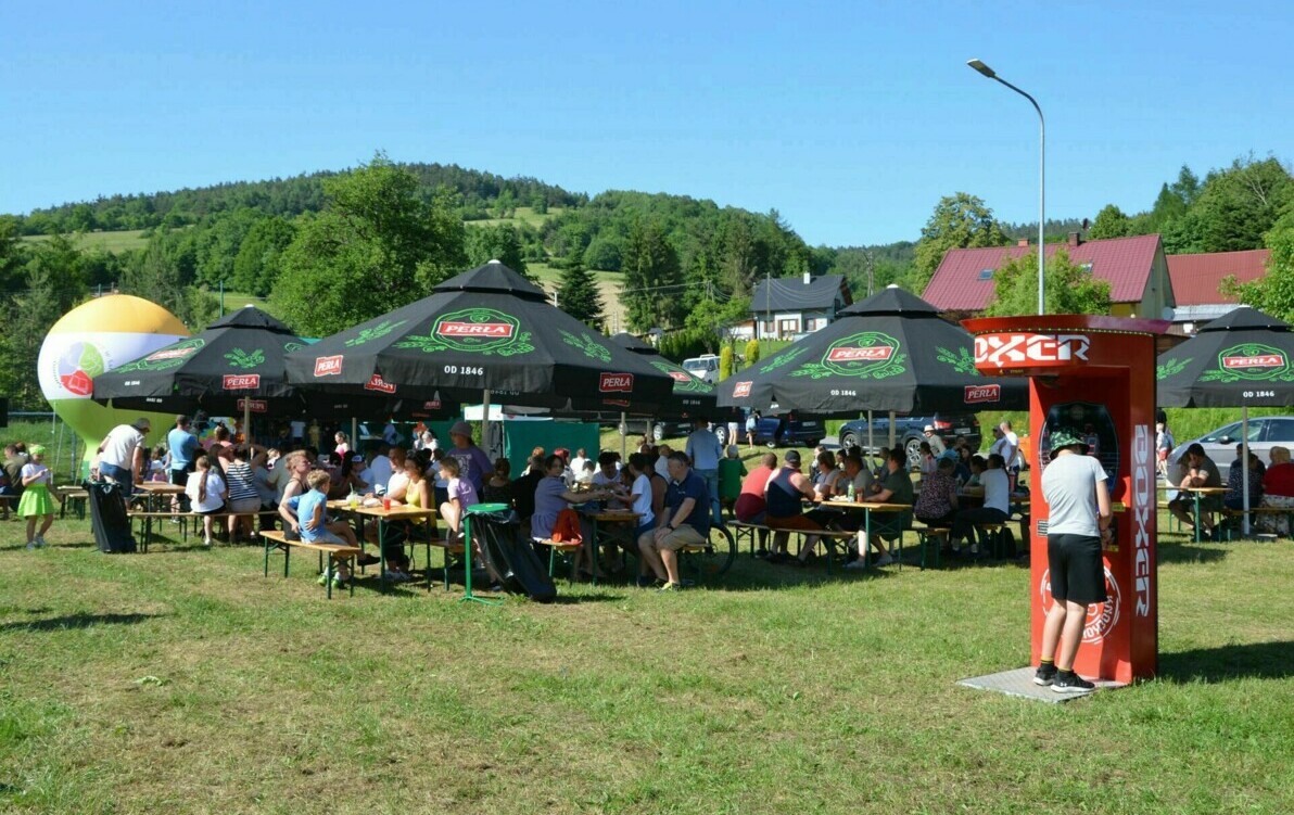 Zdjęcie do PIKNIK RODZINNY w Wujskiem